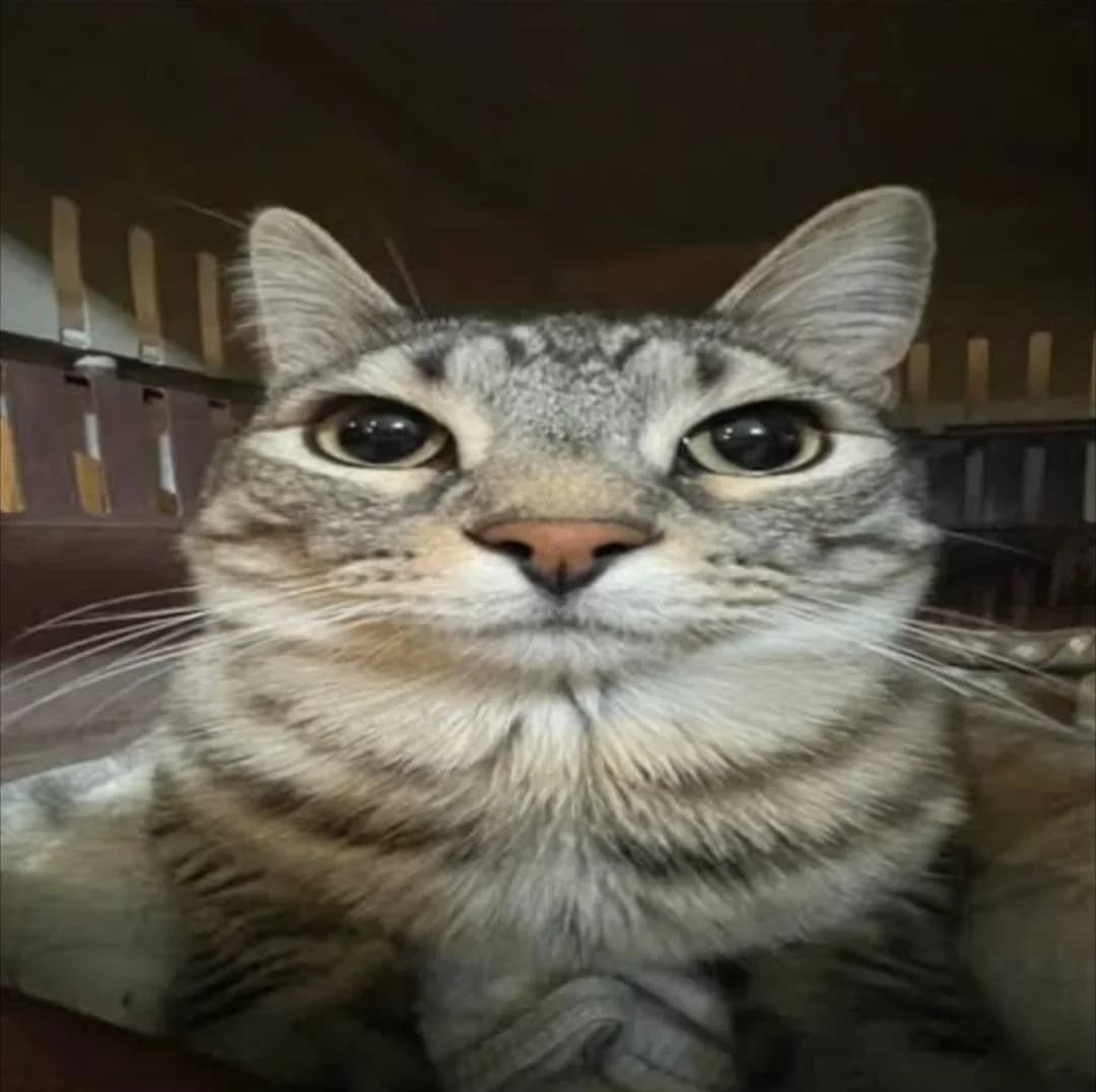 test2