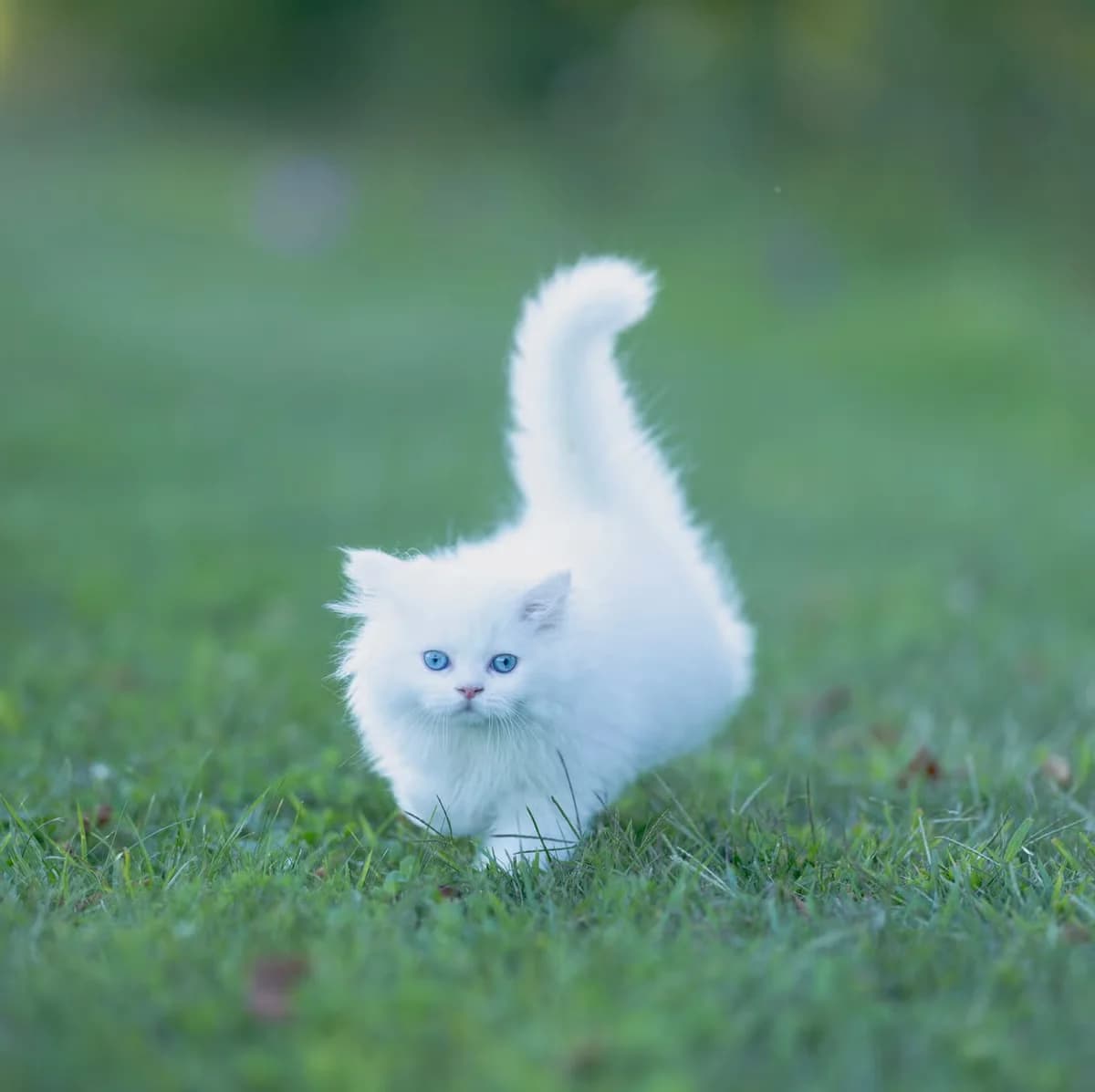 test3